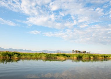  Bozkır yaz. Turgai kapısı. Turgai Kaydet. Milli Parkı 