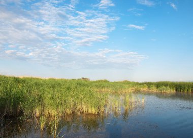  Bozkır yaz. Turgai kapısı. Turgai Kaydet. Milli Parkı 