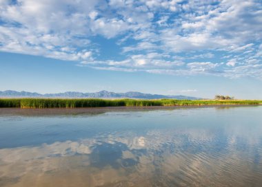  Bozkır yaz. Turgai kapısı. Turgai Kaydet. Milli Parkı 