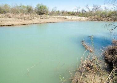Bozkır nehir sazlık yaz. nehir görünümünde kez izlendi. küçük mavi nehir kıyısında güneşli bir gün