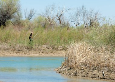 Bozkır nehir sazlık yaz. nehir görünümünde kez izlendi. küçük mavi nehir kıyısında güneşli bir gün
