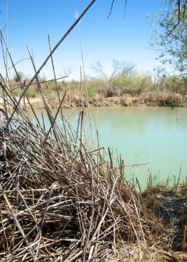 Bozkır nehir sazlık yaz. nehir görünümünde kez izlendi. küçük mavi nehir kıyısında güneşli bir gün