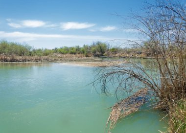 Bozkır nehir sazlık yaz. nehir görünümünde kez izlendi. küçük mavi nehir kıyısında güneşli bir gün