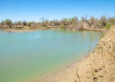 Bozkır nehir sazlık yaz. nehir görünümünde kez izlendi. küçük mavi nehir kıyısında güneşli bir gün