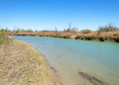 Bozkır nehir sazlık yaz. nehir görünümünde kez izlendi. küçük mavi nehir kıyısında güneşli bir gün