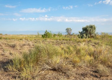  Bozkır yaz. Turgai kapısı. Turgai Kaydet. Milli Parkı 