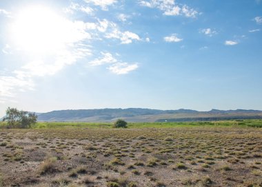  Bozkır yaz. Turgai kapısı. Turgai Kaydet. Milli Parkı 