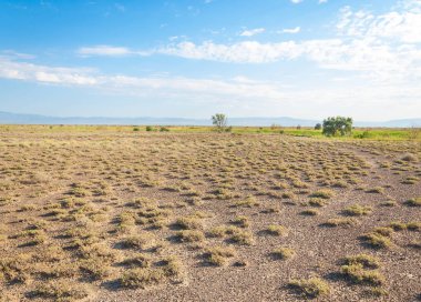 Bozkır yaz. Turgai kapısı. Turgai Kaydet. Milli Parkı 