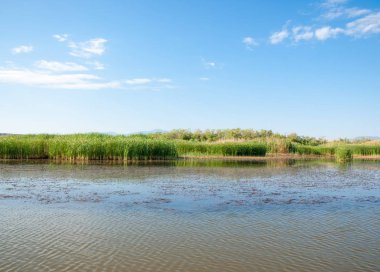  Bozkır yaz. Turgai kapısı. Turgai Kaydet. Milli Parkı 