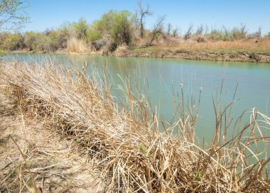 Bozkır nehir sazlık yaz. nehir görünümünde kez izlendi. küçük mavi nehir kıyısında güneşli bir gün