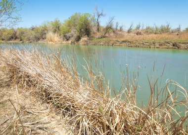 Bozkır nehir sazlık yaz. nehir görünümünde kez izlendi. küçük mavi nehir kıyısında güneşli bir gün