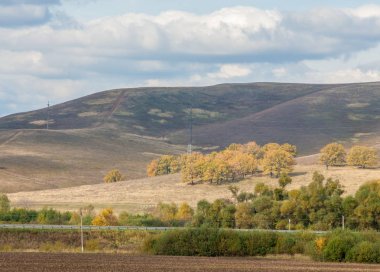 Karayolu. parlak sonbahar ağaçlar. Yol, altın zaman yılın parçası