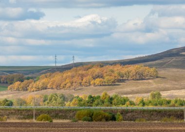 Karayolu. parlak sonbahar ağaçlar. Yol, altın zaman yılın parçası