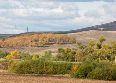 Karayolu. parlak sonbahar ağaçlar. Yol, altın zaman yılın parçası