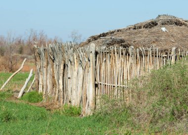 çöl, vahşi, kumlar, ıssızlık, atık, sahara. Hayvancılık, özellikle sığır veya ata, bir çiftlik veya ahır için bir kalem. su bulunduğu bir çölde bereketli bir nokta.