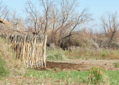 çöl, vahşi, kumlar, ıssızlık, atık, sahara. Hayvancılık, özellikle sığır veya ata, bir çiftlik veya ahır için bir kalem. su bulunduğu bir çölde bereketli bir nokta.