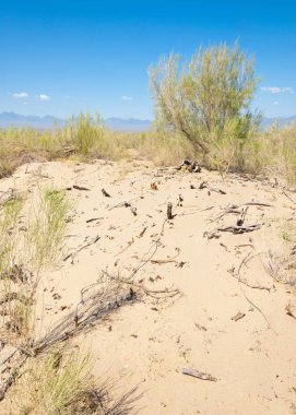  Bozkır yaz. Turgai kapısı. Turgai Kaydet. Milli Parkı 