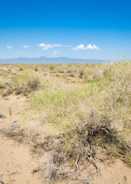  Bozkır yaz. Turgai kapısı. Turgai Kaydet. Milli Parkı 