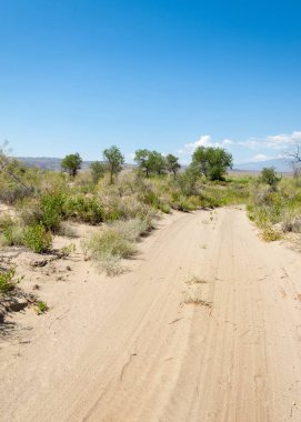  Bozkır yaz. Turgai kapısı. Turgai Kaydet. Milli Parkı 