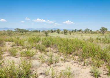  Bozkır yaz. Turgai kapısı. Turgai Kaydet. Milli Parkı 