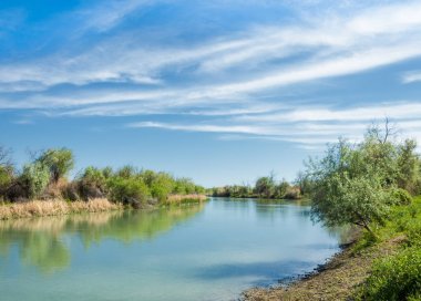 Bozkır nehir sazlık yaz