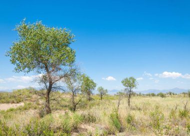  Bozkır yaz. Turgai kapısı. Turgai Kaydet. Milli Parkı 