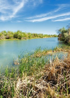 Bozkır nehir sazlık yaz. nehir görünümünde kez izlendi. küçük mavi nehir kıyısında güneşli bir gün