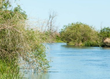 Bozkır nehir sazlık yaz. nehir görünümünde kez izlendi. küçük mavi nehir kıyısında güneşli bir gün