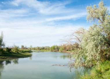 Bozkır nehir sazlık yaz. nehir görünümünde kez izlendi. küçük mavi nehir kıyısında güneşli bir gün