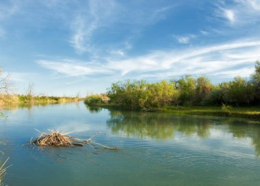 Bozkır tuzlu topraklar. tuz tuz tuz. Bozkır çayır veldt veld. Tuzlu toprak çöl, tuzlu Göller. cansız yanıp kavrulmuş dünyamız. Kazakistan çıplak bozkır