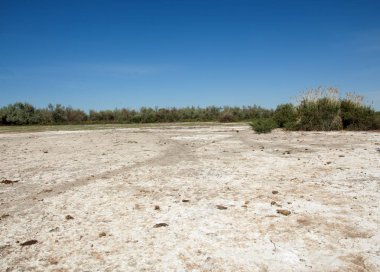 Bozkır tuzlu topraklar. tuz tuz tuz. Bozkır çayır veldt veld. Tuzlu toprak çöl, tuzlu Göller. cansız yanıp kavrulmuş dünyamız. Kazakistan çıplak bozkır