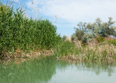 Bozkır nehir sazlık yaz. nehir görünümünde kez izlendi. küçük mavi nehir kıyısında güneşli bir gün