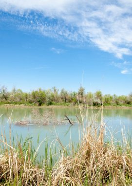 Bozkır nehir sazlık yaz. nehir görünümünde kez izlendi. küçük mavi nehir kıyısında güneşli bir gün