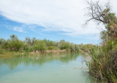 Bozkır nehir sazlık yaz. nehir görünümünde kez izlendi. küçük mavi nehir kıyısında güneşli bir gün