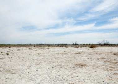 Bozkır tuzlu topraklar. tuz tuz tuz. Bozkır çayır veldt veld. Tuzlu toprak çöl, tuzlu Göller. cansız yanıp kavrulmuş dünyamız. Kazakistan çıplak bozkır