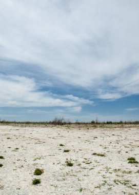 Bozkır tuzlu topraklar. tuz tuz tuz. Bozkır çayır veldt veld. Tuzlu toprak çöl, tuzlu Göller. cansız yanıp kavrulmuş dünyamız. Kazakistan çıplak bozkır