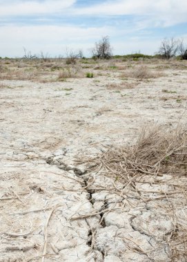 Bozkır tuzlu topraklar. tuz tuz tuz. Bozkır çayır veldt veld. Tuzlu toprak çöl, tuzlu Göller. cansız yanıp kavrulmuş dünyamız. Kazakistan çıplak bozkır