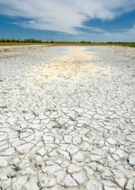 Bozkır tuzlu topraklar. tuz tuz tuz. Bozkır çayır veldt veld. Tuzlu toprak çöl, tuzlu Göller. cansız yanıp kavrulmuş dünyamız. Kazakistan çıplak bozkır