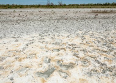 Bozkır tuzlu topraklar. tuz tuz tuz. Bozkır çayır veldt veld. Tuzlu toprak çöl, tuzlu Göller. cansız yanıp kavrulmuş dünyamız. Kazakistan çıplak bozkır