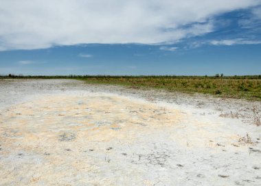 Bozkır tuzlu topraklar. tuz tuz tuz. Bozkır çayır veldt veld. Tuzlu toprak çöl, tuzlu Göller. cansız yanıp kavrulmuş dünyamız. Kazakistan çıplak bozkır