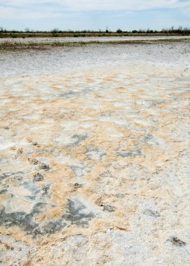 Bozkır tuzlu topraklar. tuz tuz tuz. Bozkır çayır veldt veld. Tuzlu toprak çöl, tuzlu Göller. cansız yanıp kavrulmuş dünyamız. Kazakistan çıplak bozkır