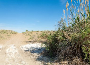 Bozkır tuzlu topraklar. tuz tuz tuz. Bozkır çayır veldt veld. Tuzlu toprak çöl, tuzlu Göller. cansız yanıp kavrulmuş dünyamız. Kazakistan çıplak bozkır