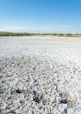 Bozkır tuzlu topraklar. tuz tuz tuz. Bozkır çayır veldt veld. Tuzlu toprak çöl, tuzlu Göller. cansız yanıp kavrulmuş dünyamız. Kazakistan çıplak bozkır