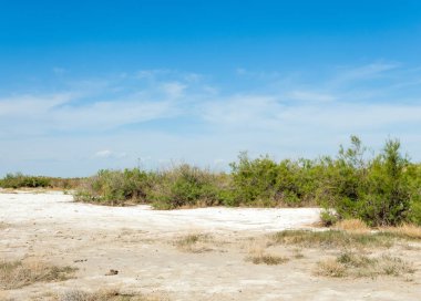 Bozkır tuzlu topraklar. tuz tuz tuz. Bozkır çayır veldt veld. Tuzlu toprak çöl, tuzlu Göller. cansız yanıp kavrulmuş dünyamız. Kazakistan çıplak bozkır