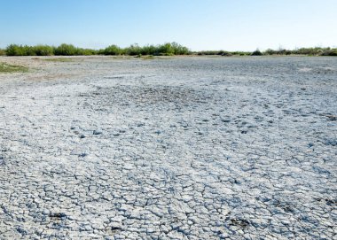 Bozkır tuzlu topraklar. tuz tuz tuz. Bozkır çayır veldt veld. Tuzlu toprak çöl, tuzlu Göller. cansız yanıp kavrulmuş dünyamız. Kazakistan çıplak bozkır