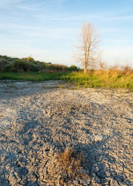 Bozkır tuzlu topraklar. tuz tuz tuz. Bozkır çayır veldt veld. Tuzlu toprak çöl, tuzlu Göller. cansız yanıp kavrulmuş dünyamız. Kazakistan çıplak bozkır