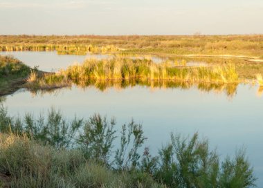 Güzel gökyüzü altında küçük bir göl. akşam olay yerinde bozkır, yatay, bozkır güzel yaz gün bataklıkta gölde. Göl sahnesinde yaz