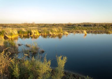 Güzel gökyüzü altında küçük bir göl. akşam olay yerinde bozkır, yatay, bozkır güzel yaz gün bataklıkta gölde. Göl sahnesinde yaz