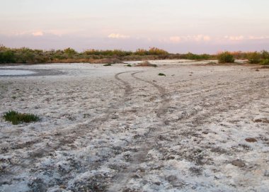 Bozkır tuzlu topraklar. tuz tuz tuz. Bozkır çayır veldt veld. Tuzlu toprak çöl, tuzlu Göller. cansız yanıp kavrulmuş dünyamız. Kazakistan çıplak bozkır