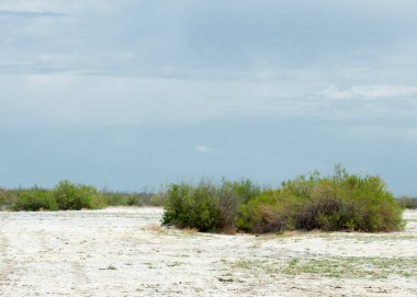 Bozkır tuzlu topraklar. tuz tuz tuz. Bozkır çayır veldt veld. Tuzlu toprak çöl, tuzlu Göller. cansız yanıp kavrulmuş dünyamız. Kazakistan çıplak bozkır